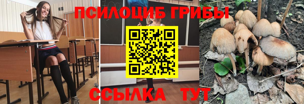 Псилоцибиновые грибы Magic Shrooms  Вход с VPN  наркотики  Калуга 